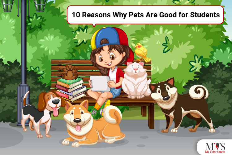 10 Reasons Why Pets Are Good for Students