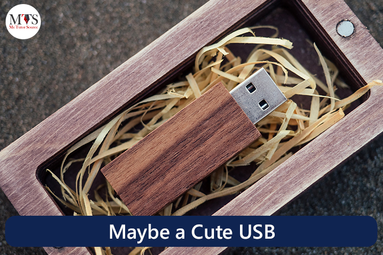 Maybe a Cute USB