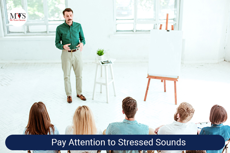 Pay Attention to Stressed Sounds