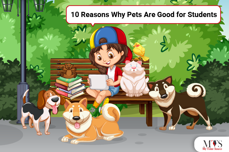 10-reasons-why-pets-are-good-for-students